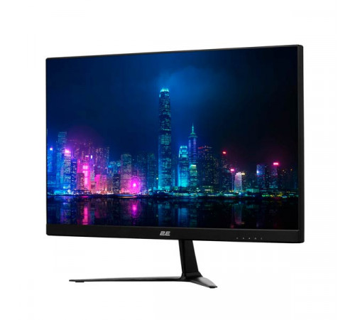 2E B2422B Black FHD Monitor