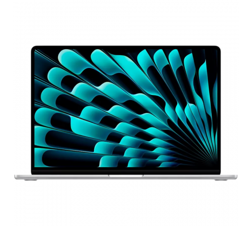 Apple MacBook Air 13 M4 Silver MW0W3RU/A