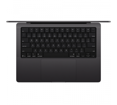 Apple MacBook Pro 14 Space Black MDE34RU/A 