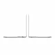 Apple MacBook Pro 16 M4 Silver MX2W3RU/A