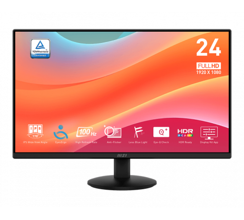 MSI Pro MP242L 100Hz Monitor