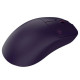 Red Square Aurora Amethyst io155 Purple Mouse 