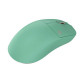 Red Square Aurora Mint io154 Mint Mouse